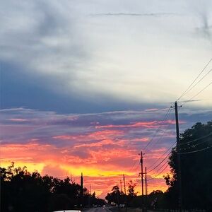 Meet your Posher, Therese